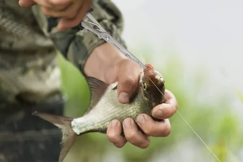 Miniatura 7 de mouhike Alicates de pesca de nariz larga de acero inoxidable, removedor de anzuelos, cortadores de trenzas, alicates de pescado de anillo dividido