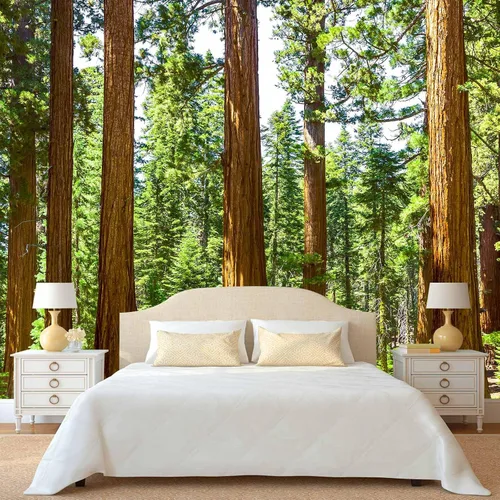 Miniatura 2 de Papel tapiz de bosque de secuoyas, papel tapiz de árbol de bosque verde para dormitorio, murales de pared grandes para sala de estar y oficina