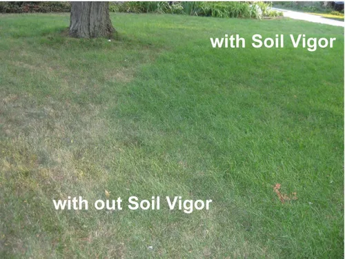 Miniatura 8 de Soil Vigor - Cristales de almacenamiento de agua – Corte el riego en un 50% Hidrogel de polímero súper absorbente para céspedes, jardines