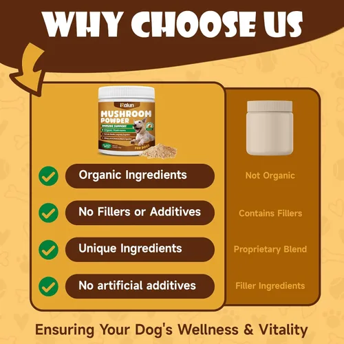 Miniatura 5 de Hongos para perros: suplemento orgánico de hongos en polvo para perros, aumenta la inmunidad, apoya la digestión y mejora la salud general