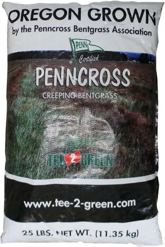 Outsidepride PC2.0 (Penncross) - Semillas de césped dobladas rastreras – 2 libras de grado de campo de golf premium, densas y resistentes al