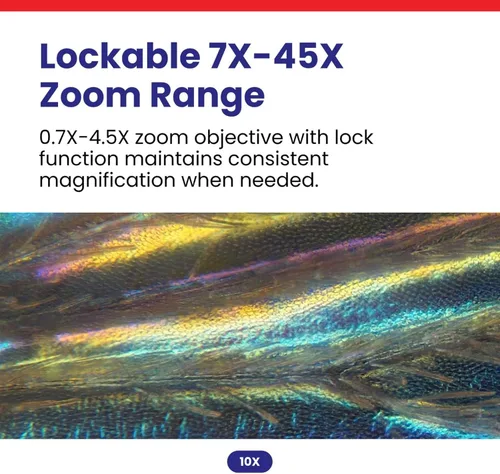 Miniatura 3 de Microscopio con zoom y cerradura estéreo Simul-Focal AmScope 7X a 45X con cabezal de brazo doble