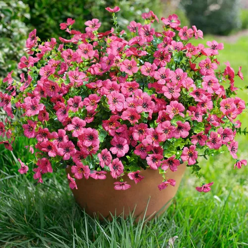 Miniatura 13 de florisso Plantas Artificiales Falsas Flores para Decoración Exterior, 12 Paquetes Margarita de Seda Sintética con Aspecto Real Resistente a UV