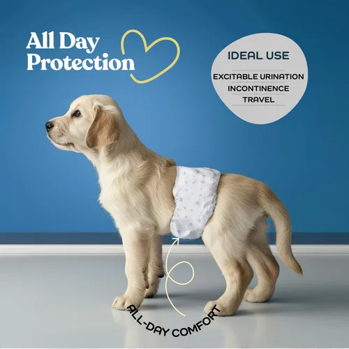Miniatura 2 de Pañales cómodos para perros machos, paquete de 30 envolturas desechables súper absorbentes para perros machos, tecnología FlashDry Gel con indicador