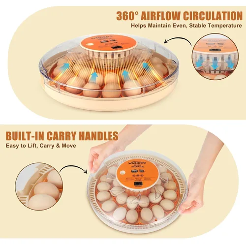 Miniatura 5 de Gen IV - Incubadora de 30 huevos, humedad de amplio rango con llenado manual de agua, control de temperatura estable, ranuras para huevos de doble