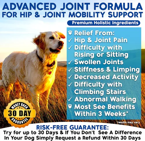 Miniatura 2 de Well Loved Glucosamina para perros - Suplemento articular para perros, fabricado en Estados Unidos, desarrollado por veterinarios, condroitina
