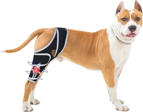 Rodillera para perro para desgarro de la pierna trasera, alivia lesiones de ligamentos y dolor en las articulaciones, soporte ajustable para piernas