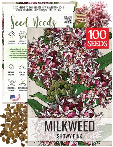 Miniatura 19 de Seed Needs Semillas de algodoncillo naranja para plantar malezas de mariposa, semillas de flores perennes sin tratar para cultivar un jardín