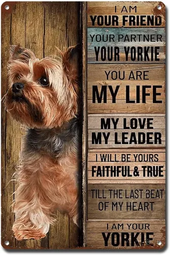Miniatura 25 de Letrero de Metal Letrero de Hojalata Arte de Pared Vintage I Am Your Friend Regalo para Amantes de Schnauzer Arte de Pared Vintage Impresiones