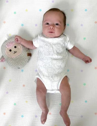 Miniatura 3 de Hugs & Llamas Sábana bajera ajustable de muselina de algodón 100% orgánico Sábanas de cuna premium para niños y niñas Sábanas orgánicas