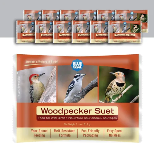 Blue Seal Woodpecker - Pastel de sebo para aves silvestres, resistente a la fusión, alimentación durante todo el año, alimento para aves silvestres,