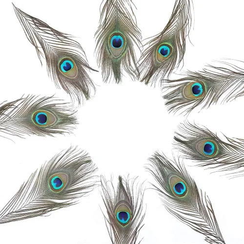 Miniatura 8 de Ballinger 6 PCS Plumas de Ojo de Pavo Real Naturales Grandes de 10-12 pulgadas para Manualidades DIY, Decoraciones de Boda y Festivas