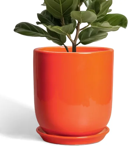 Miniatura 22 de Maceta de Cerámica para Plantas de Interior de 5 Pulgadas - Maceta Redonda para Plantas Suculentas con Agujero de Drenaje y Platillo, Decoración