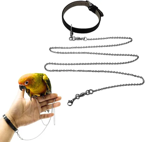 Cadena de pie de pájaro cuerda de entrenamiento de acero inoxidable volador con correa de cuero para muñeca de loro al aire libre, anillo de