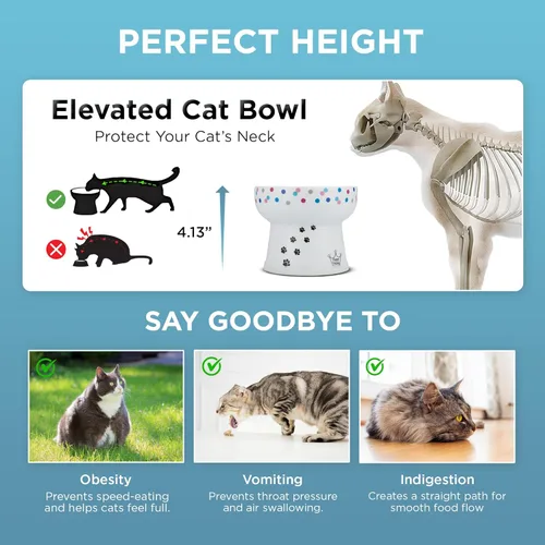 Miniatura 5 de Necoichi Cuenco elevado de agua para gatos, cuenco elevado de cerámica para gatos, evita la fatiga del cuello y los bigotes, apto para lavavajillas
