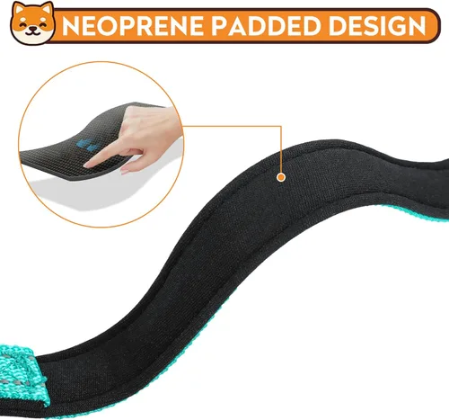 Miniatura 4 de Collar reflectante para perro, ajustable de neopreno suave acolchado de nailon para mascotas con hebilla para perros extra grandes, verde azulado
