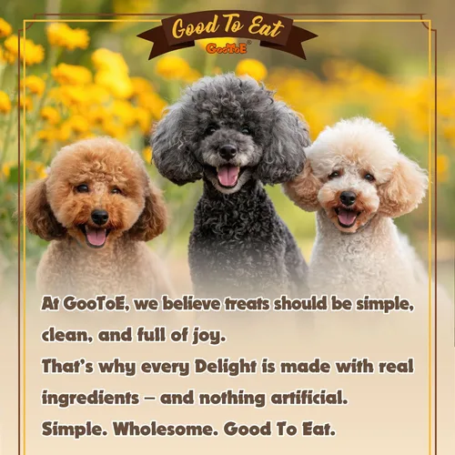 Miniatura 8 de Gootoe Tendones de Pavo para Perros – Golosinas Naturales, Hipoalergénicas para Perros, Alternativa al Cuero Crudo, Masticables Duraderas