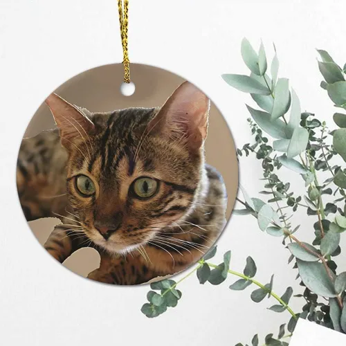 Miniatura 4 de Adorno de Navidad de gato atigrado decorativo colgante adorno de árbol de Navidad, adornos de recuerdo de Navidad, adornos de recuerdo de 3 pulgadas