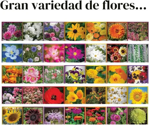 Miniatura 4 de Gardeners Basics, paquetes de semillas de flores para plantar 35 variedades individuales perennes, anuales, semillas de flores silvestres