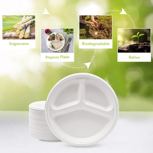 Miniatura 4 de three leaf Bandeja de Bagazo de 6 Compartimentos Resistente - Súper Fuerte - Natural - Ecológica Platos Desechables de Bagazo, 100% Biodegradables
