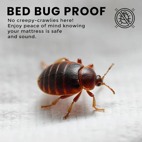 Miniatura 5 de Utopia Bedding Funda de colchón impermeable de alta calidad, protector de colchón King con cremallera, 14 pulgadas de profundidad, a prueba