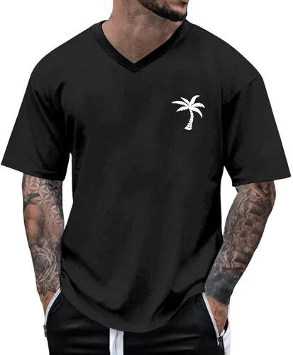 Camisetas para hombre, cuello en V, manga corta, con gráficos, de algodón, holgadas, casuales, de verano, cuello redondo, hipster, camisetas de