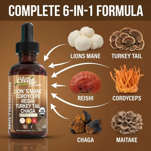 Miniatura 4 de Gotas líquidas de suplemento de hongos orgánicos de Mane de León + mezcla compleja de hongos en polvo de Cola de Pavo, Cordyceps, Reishi, Chaga