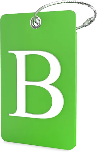 Miniatura 32 de Shacke Etiquetas iniciales sin privacidad para maleta y equipaje con bucle de metal, Verde