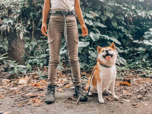 Miniatura 8 de Tuff Pupper Correa de perro resistente manos libres Un perro pequeño/mediano de hasta 45 libras Cómodo elástico absorbente de golpes Asas