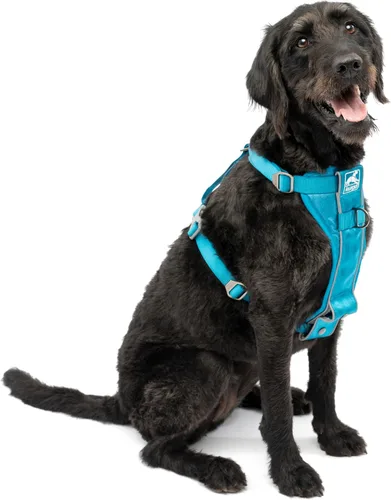 Miniatura 6 de Kurgo Tru-Fit - Arnés inteligente para caminar para perros, ajuste cómodo, arnés ajustable, reflectante para mascotas, liberación rápida
