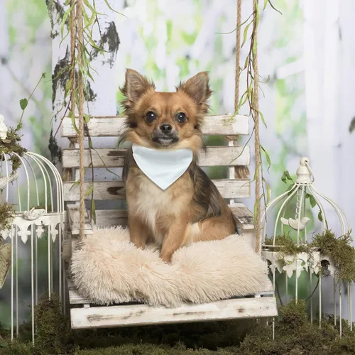Miniatura 7 de 4 unidades de collar triangular blanco para perro, bandana para perro con hebilla ajustable sublimación en blanco, bandanas para perros y gatos, S