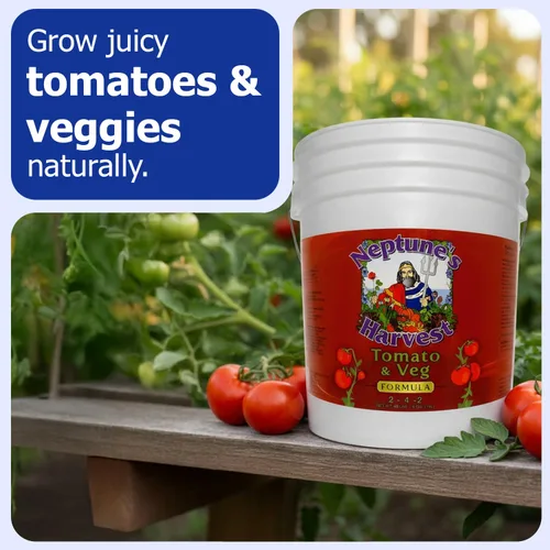 Miniatura 2 de Neptune's Harvest Fertilizante orgánico para plantas de tomate y verduras (2-4-2) – Alimento líquido para plantas con pescado fresco, algas marinas