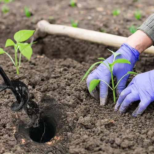 Miniatura 5 de Broca de Taladro para Jardín para Plantar – Broca de Jardín de 4x23 cm, Barrenadora Rápida para Bulbos y Plantas de Cama para Taladro Hexagonal