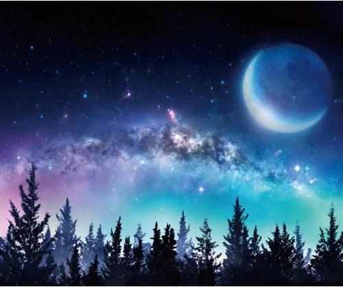Miniatura 9 de Telón de fondo de cielo nocturno estrellado para fotografía, 10 x 8 pies, vista nocturna del bosque, telón de fondo para fotos, universo galaxia