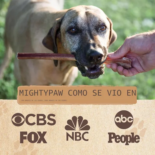 Miniatura 4 de Mighty Paw Palitos de goma de 12" de larga duración para perros - Masticables 100% naturales de carne de res alimentada con pasto. Palitos de goma