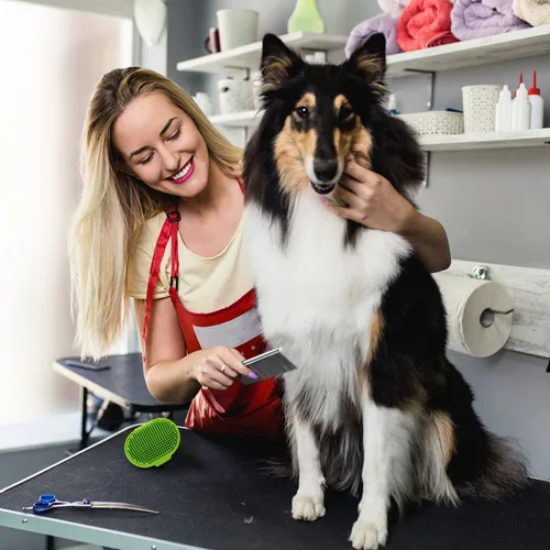 Miniatura 3 de Lilpep 2 peines de metal de acero inoxidable para perros, para eliminar tapetes enredados y masajear peines de mascotas, herramientas profesionales