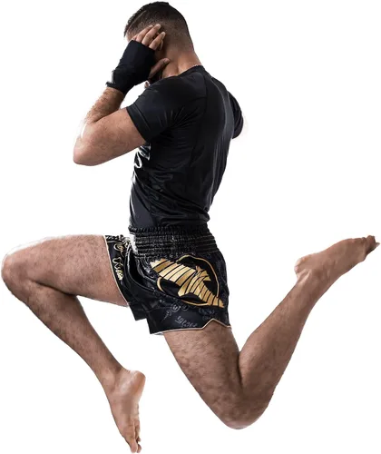 Miniatura 4 de Hayabusa Falcon Muay Thai - Pantalones cortos