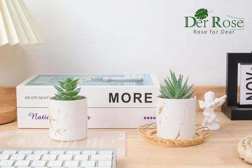 Miniatura 4 de Der Rose Juego de 2 plantas suculentas artificiales Mini plantas suculentas falsas para accesorios de oficina y hogar para mujeres 2-Verde