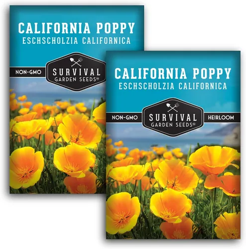 Miniatura 11 de Survival Garden Seeds - Semillas de amapola de California para plantar - 5 paquetes con instrucciones para cultivar plantas Eschscholzia Californica