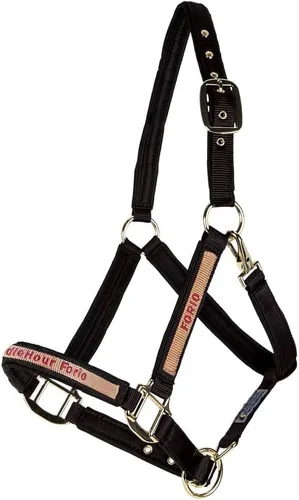 Miniatura 3 de Dura-Tech Cabestro de caballo de nailon totalmente acolchado Cabestro para caballo diseñado para evitar rozaduras Corona y bordillo de caballo