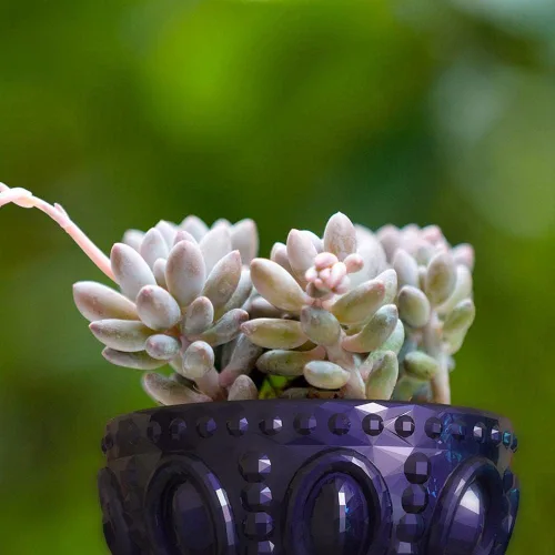 Miniatura 8 de Moldes de macetas de flores de concreto de silicona, moldes de plantador de cemento y arcilla de silicona, moldes redondos de cuenco de resina
