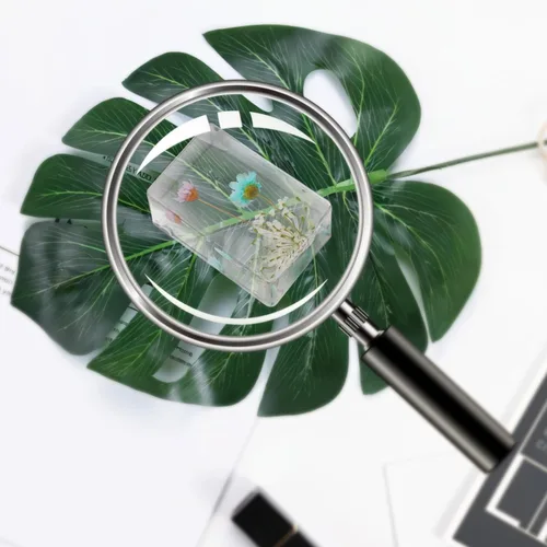 Miniatura 5 de 10 piezas de flor en resina espécimen prensado de flores pisapapeles en resina colección de muestras para escritorio, muestras de flores reales