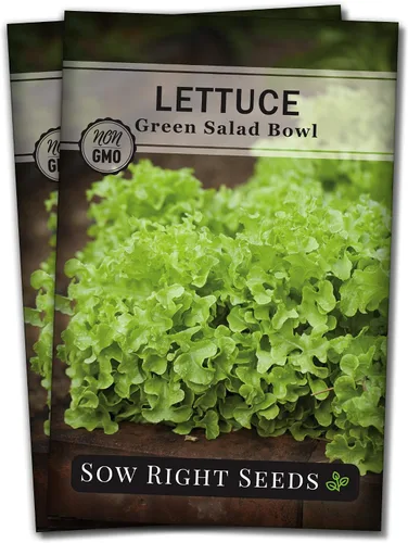 Miniatura 7 de Sow Right Seeds - Ensaladera Semillas de lechuga de hojas verdes para plantar - Paquete de reliquia sin OMG con instrucciones para plantar un huerto