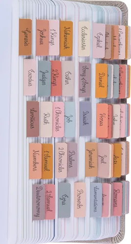 Miniatura 13 de DiverseBee Pestañas laminadas de la Biblia para mujeres (letra grande, fácil de leer), pestañas coloridas para libros de diario bíblico, regalo Rosa