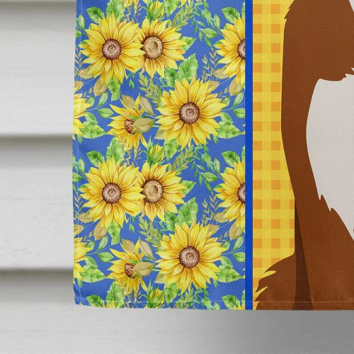 Miniatura 4 de Caroline's Treasures WDK5331CHF - Bandera de verano con diseño de girasoles rojos y blancos, manga grande, para porche, para colgar en la pared