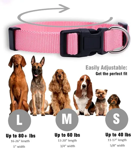 Miniatura 3 de Native Pup Collar básico de nailon para perro, ajustable para mascotas y cachorros pequeños, medianos y grandes, bonitos colores para hombres