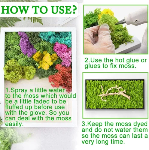 Miniatura 6 de Musgo preservado para manualidades, musgo de reno verde para plantas en maceta, decoración de musgo decorativo para arte de pared, musgo seco
