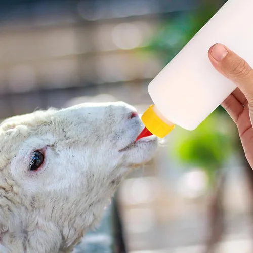 Miniatura 4 de Tofficu Paquete de 5 biberones de cordero de 9 onzas con pezones antimordedura de plástico grueso para ganado, juego de botellas de leche