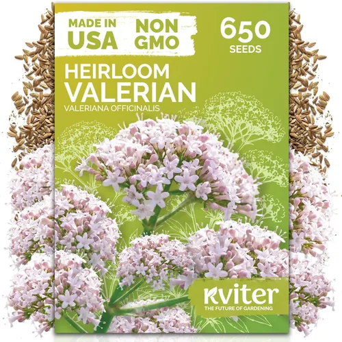 Miniatura 24 de KVITER 1000 semillas de quinua de cordero (Chenopodium Album) - Hierbas comestibles autóctonas, ideales para jardines de hierbas orgánicas