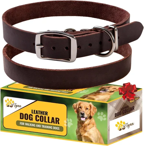 ADITYNA Collar de cuero para perros pequeños, clásico, suave, fuerte, resistente, hecho a mano, cuero de grano superior, para caminar, entrenar y